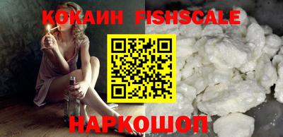шишки Камышлов