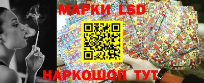 шишки Камышлов